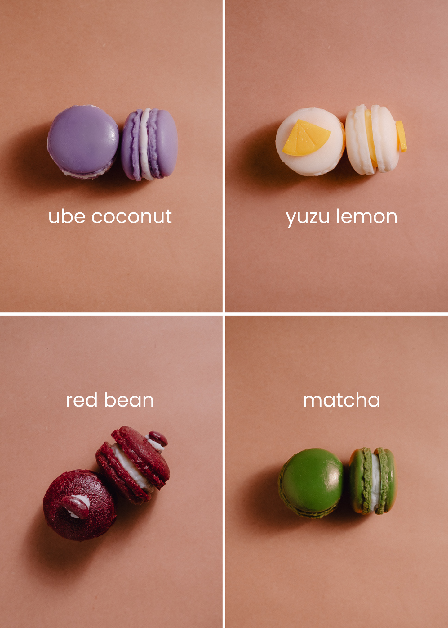 Single Macaron Wax Melt