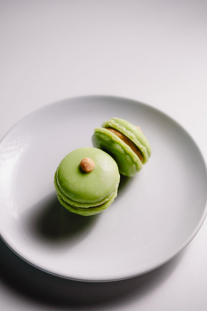 Single Macaron Wax Melt